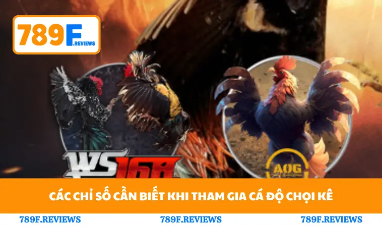 Đá Gà 789F 3 Các chỉ số cần biết khi tham gia cá độ chọi kê