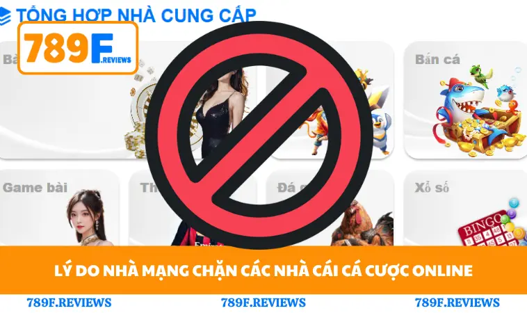 3 Cách Truy Cập Trang Cá Độ Khi Bị Chặn Nhanh Và An Toàn 1 Lý do nhà mạng chặn các nhà cái cá cược online